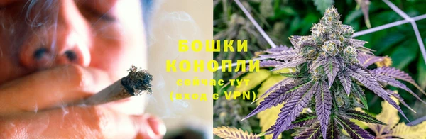 стафф Богданович