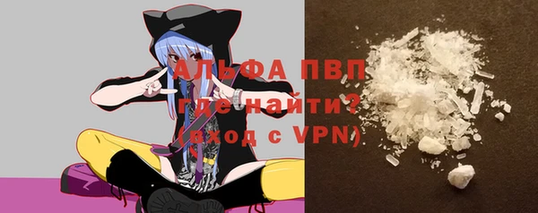 стафф Богданович