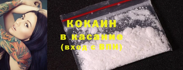 стафф Богданович